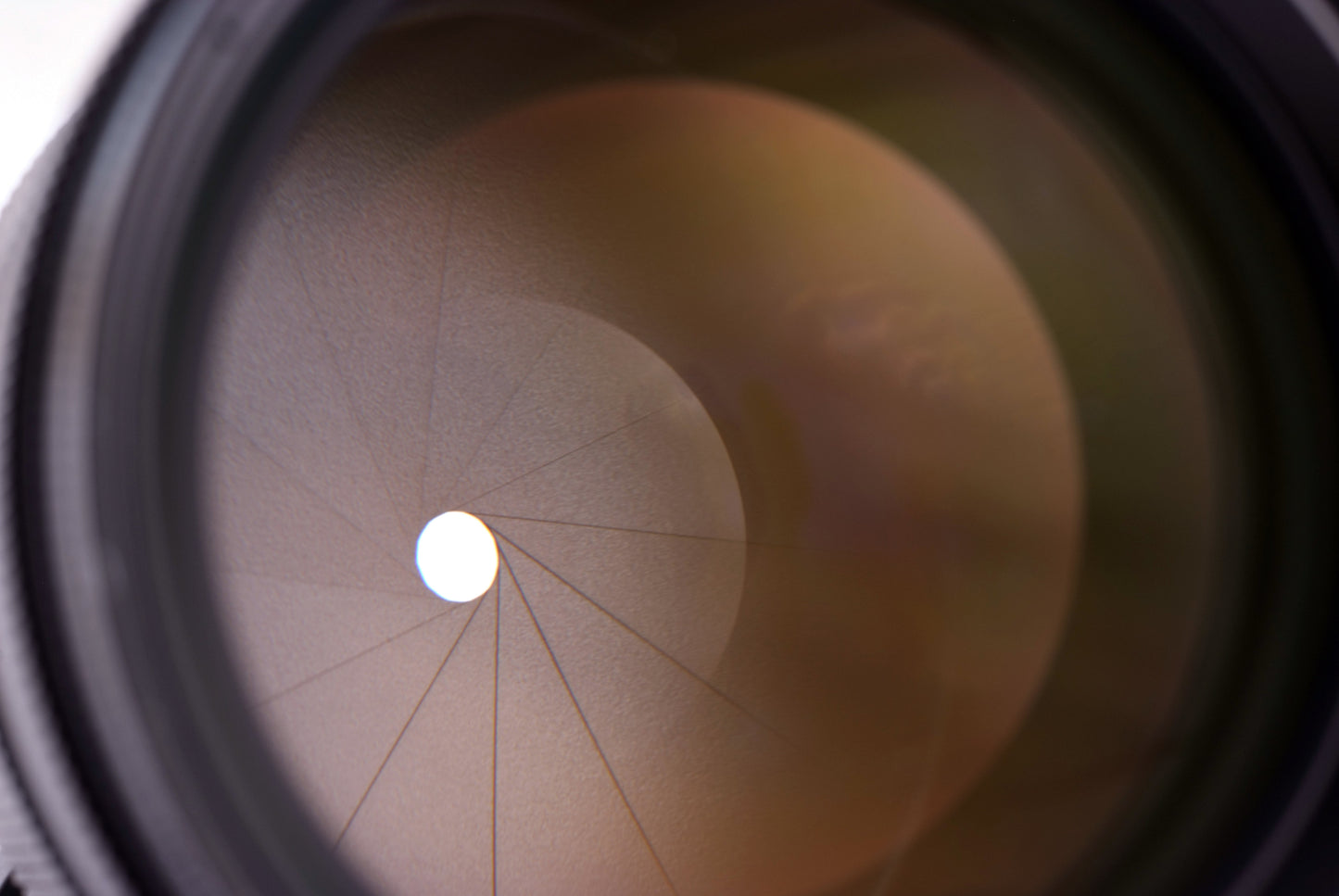 Voigtlander 75mm 1.5 Nokton